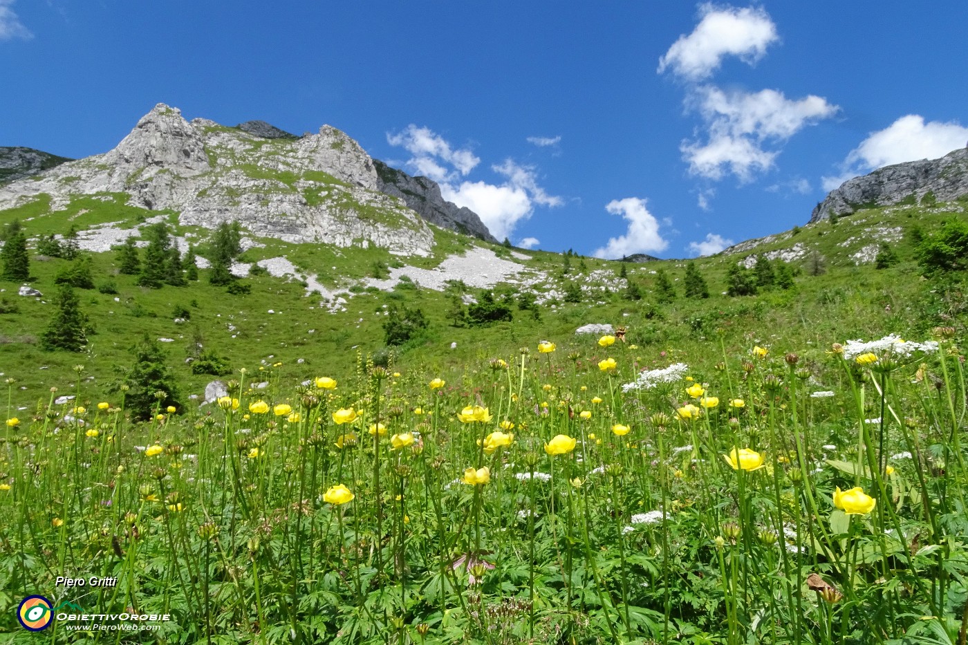 87 Botton d'oro con  contrafforti della Corna Piana.JPG